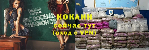 хмурый Мещовск
